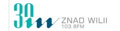 Znad Wilii